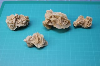 4 Rosas del Desierto.