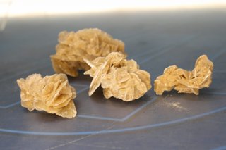 4 Rosas del Desierto.