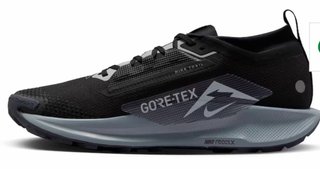 Nike Pegasus Trail 5 GTX Negra
