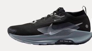 Nike Pegasus Trail 5 GTX Negra