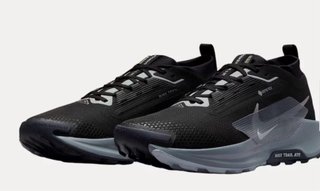 Nike Pegasus Trail 5 GTX Negra