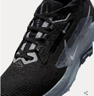 Nike Pegasus Trail 5 GTX Negra
