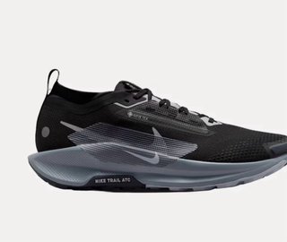 Nike Pegasus Trail 5 GTX Negra