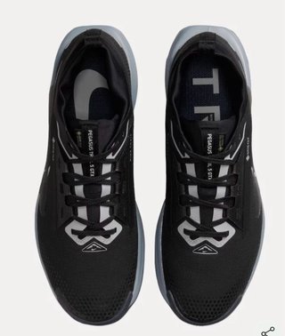 Nike Pegasus Trail 5 GTX Negra