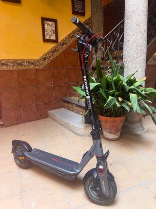 Patinete Eléctrico Segway Ninebot F30