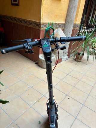 Patinete Eléctrico Segway Ninebot F30