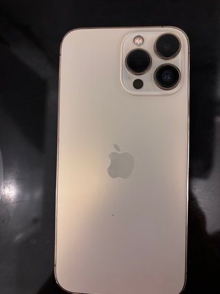 iPhone 13 Pro Max Dorado/Plateado