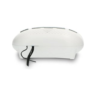 iCES ICR-210 radio reloj alarma doble led