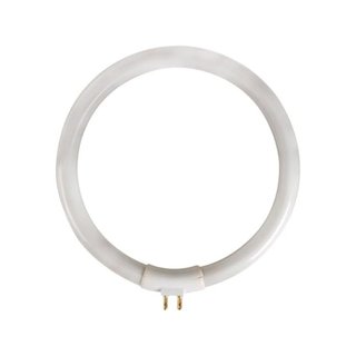 Velleman VTLAMP10 lámpara fluorescente repuesto