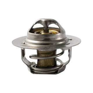 FAE 5205089 termostato refrigerante motor 89°C