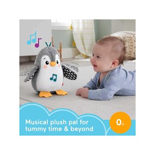 Mattel HNC10 Fisher-Price peluche bebé música