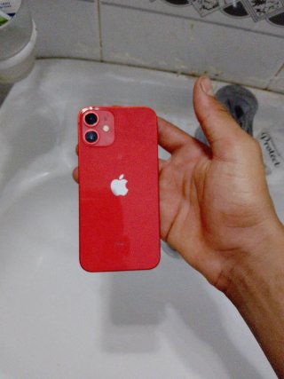 iPhone Apple rojo  12 mini