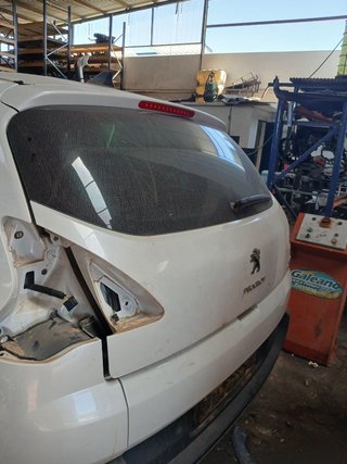 PORTON TRASERO Peugeot 3008 (05.2009->)