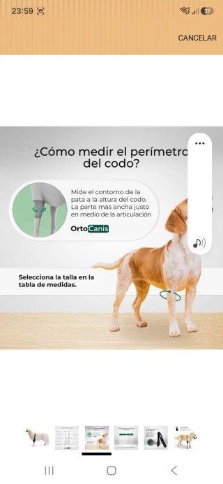 Protector codo perro Orto Canis negro