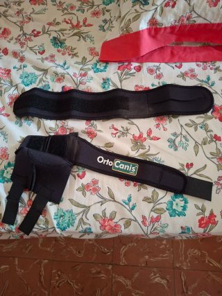 Protector codo perro Orto Canis negro