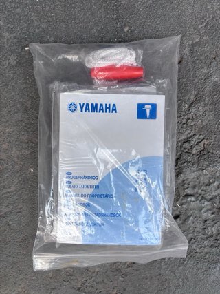Motor fueraborda Yamaha 5cv
