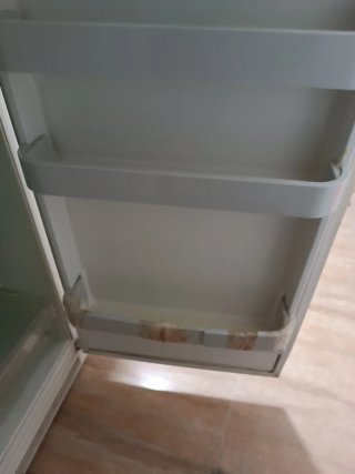 Regalo Frigorífico Lynx blanco