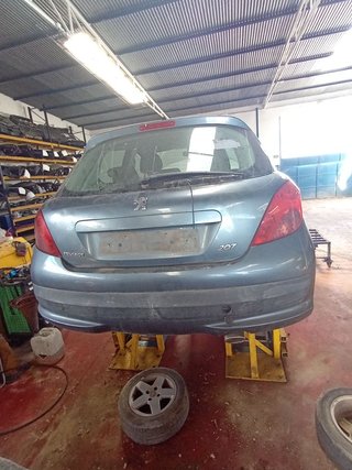 PORTON TRASERO Peugeot 207 (2006->)