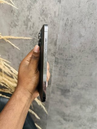 iPhone 13 Pro Max Gris