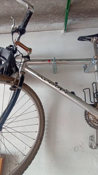 Bicicleta de montaña plateada