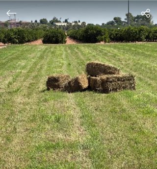 Alfalfa de calidad en Ribarroja de Turia