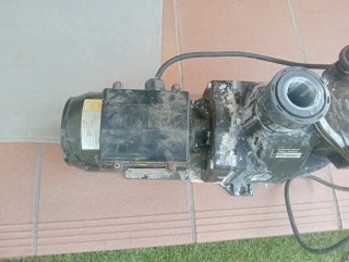 Bomba de agua Hayward Powerline PI Plus