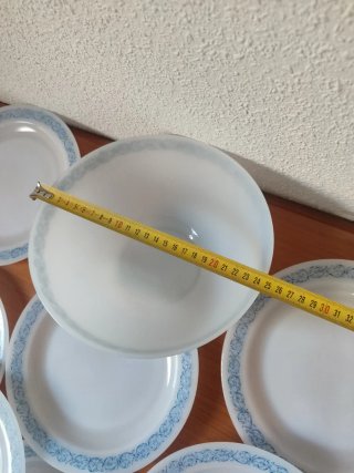 Lote Arcopal platos y ensaladera