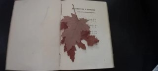 Libro militar alemán Eine Infanterie-Kompanie im W