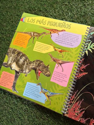 Libro Linterna Dinosaurios Susaeta | Interactivo