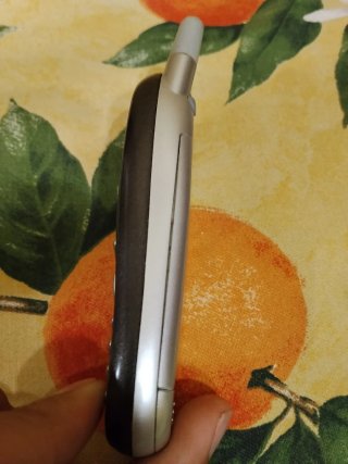 Motorola t191 telefono cellulare