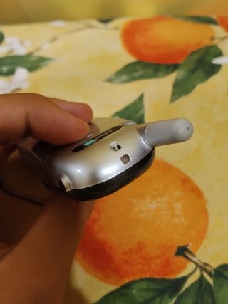 Motorola t191 telefono cellulare