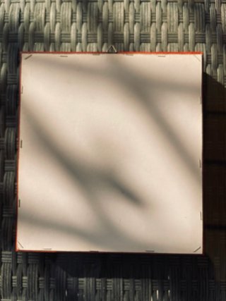 Coppia di quadretti decorativi con gatti