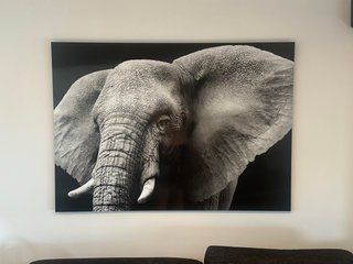 Cuadro Elefante lamina madera lacada