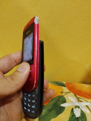 Nokia 2220 slide