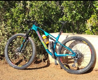 Megamo Track R120