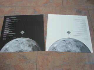 Yungest Moonstar - Sfaciolate -Viola-Blu - FIRMATO