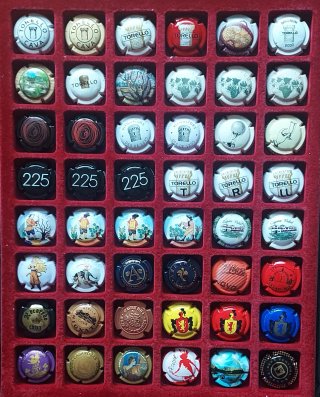 48 Placas de Cava   13