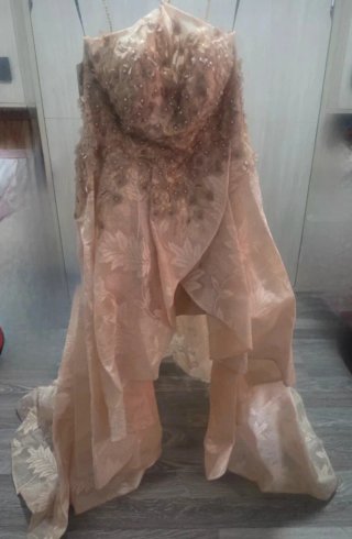 Vestido de Novia, Vestido de fiesta beige y dorado