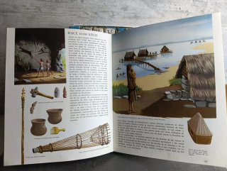 Enciclopedia y Diccionario Infantil Ilustrado