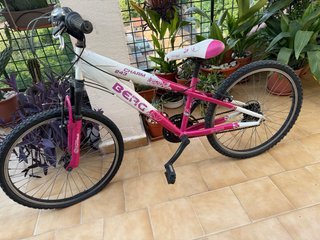Bicicleta de montaña Berg Charm 243