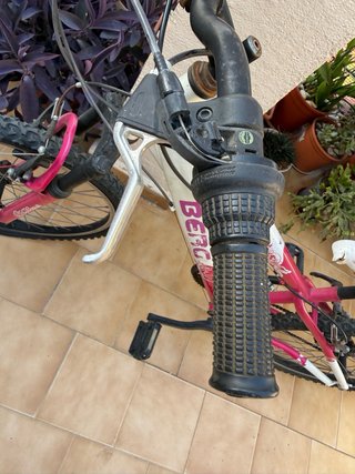 Bicicleta de montaña Berg Charm 243