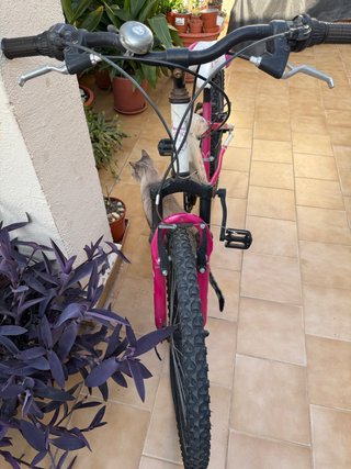 Bicicleta de montaña Berg Charm 243