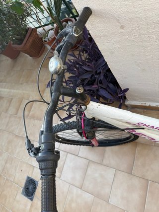 Bicicleta de montaña Berg Charm 243