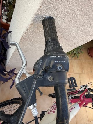 Bicicleta de montaña Berg Charm 243