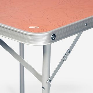 Mesa plegable de camping, 4 personas, marrón