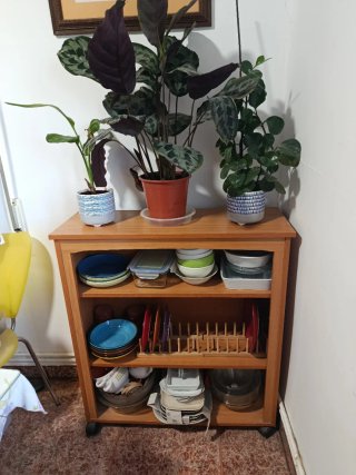 Estantería baja de madera