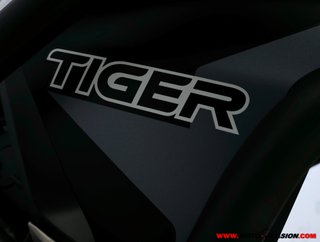 TRIUMPH TIGER 900 RALLY PRO ¿A2?