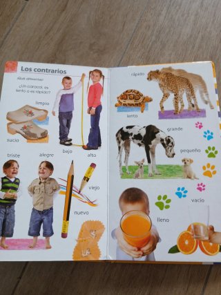 Mi Primer Libro