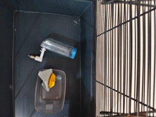 Jaula para hámster con túnel y rueda