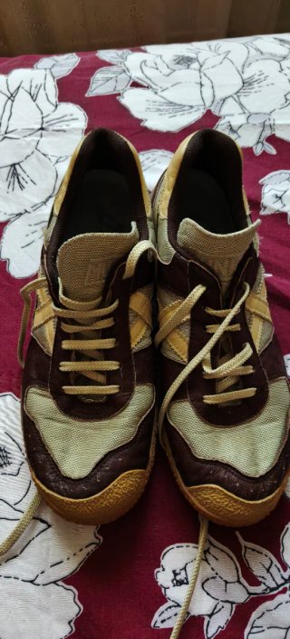 Zapatillas Munich Beige y Marrón